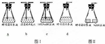 基因工程與植物細胞工程的核心技術(shù)及應(yīng)用